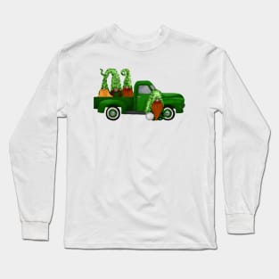 St Patrcks day gnomes Long Sleeve T-Shirt